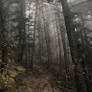 Meet your Posher, Christopher blake